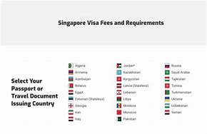 Image result for Singapore Visa Requirements
