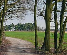 Image result for Rumus Parkland