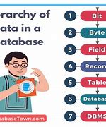 Image result for Database in Computer Science