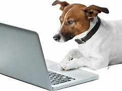 Image result for Dog On Phone and Computer
