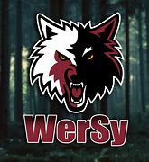 Image result for wersy