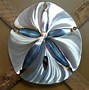 Image result for Sand Dollar Wall Art