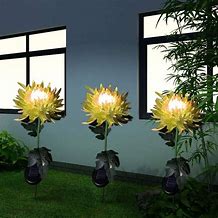 Image result for Solar Garden Flowers