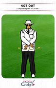 Image result for Cricket Umpire Sinals
