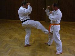 Image result for Types of Karate Kicks