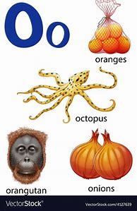 Image result for Words That Start with O for Kids