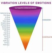 Image result for Low Vibration Emotions