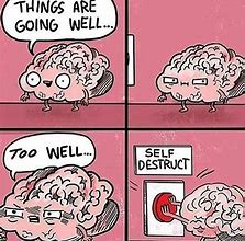 Image result for Perfecte Brain Meme