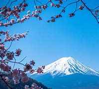 Image result for Sakura Japonia