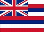 Image result for Hawaiian iPhone Cases