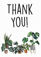 Image result for Plant Thank You Meme