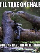 Image result for Science Otter Meme