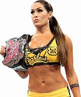 Image result for Fearless Yellow T-Shirt Nikki Bella