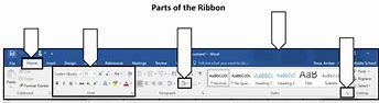 Image result for Label the Parts of the Ribbon