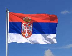 Image result for Serbia National Flag