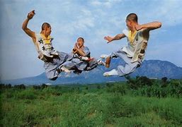 Image result for Chinese Kung Fu