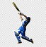 Image result for Cricket Design/Art