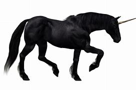 Image result for Black Unicorn Transparent