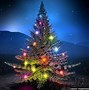 Image result for Stars Night Christmas Winter Forest