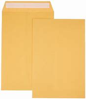 Image result for 6x9 Manila Envelopes