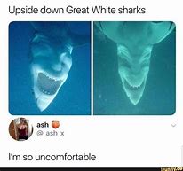 Image result for Funny Shark Photobombs
