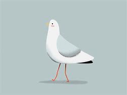 Image result for Happy New Year Seagull