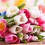 Image result for Simple Flower Bouquet Wallpaper