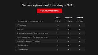 Image result for Netflix Price Philippines