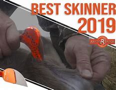 Image result for Best Gut Hook Skinning Knife