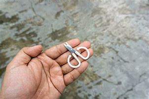 Image result for Little Scissors