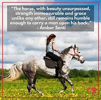Image result for Beautiful Horse Sayings