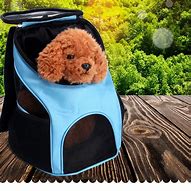 Image result for Aliexpress for Pets