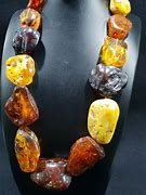 Image result for Amber Fossil Jewelry