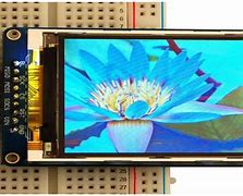 Image result for LCD Liquid Crystal