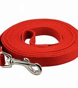 Image result for Dog Leash with Swivel Snap Hook