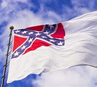 Image result for 1 3 Star Confederate Flag