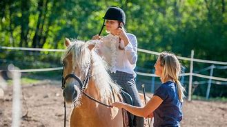 Image result for Learning to Ride a Horse