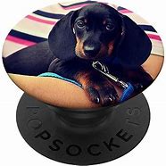 Image result for Dog Pop Socket Dachshund