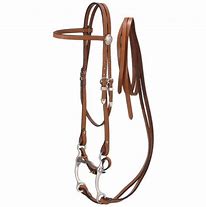 Image result for Western Bridle Wit Bit