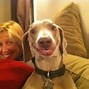Image result for Happy Animal Face Meme
