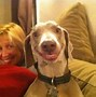 Image result for Smiley Animal