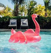 Image result for Big Mouth Giant Pink Flamingo Pool Float