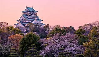 Image result for Osaka Japan Coumtry
