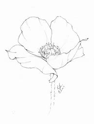 Image result for Broken Flower Drawings