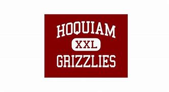 Image result for Hoquiam Grizzlies Logo