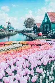 Image result for Most Beautiful Places in Netherlands