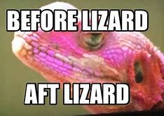 Image result for Lizard DNA Meme