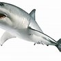 Image result for Shark On Transparent Background