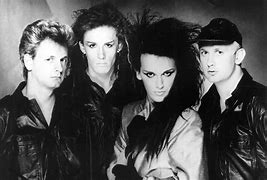 Image result for Dead or Alive Music Group