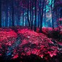 Image result for Black and Red Forest Background
